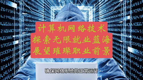 計算機網絡技術 探索無限就業藍海，展望璀璨職業前景